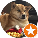 Mr. T profile picture