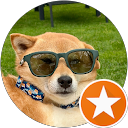 Shibaesque profile picture